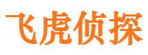 金湖寻人公司